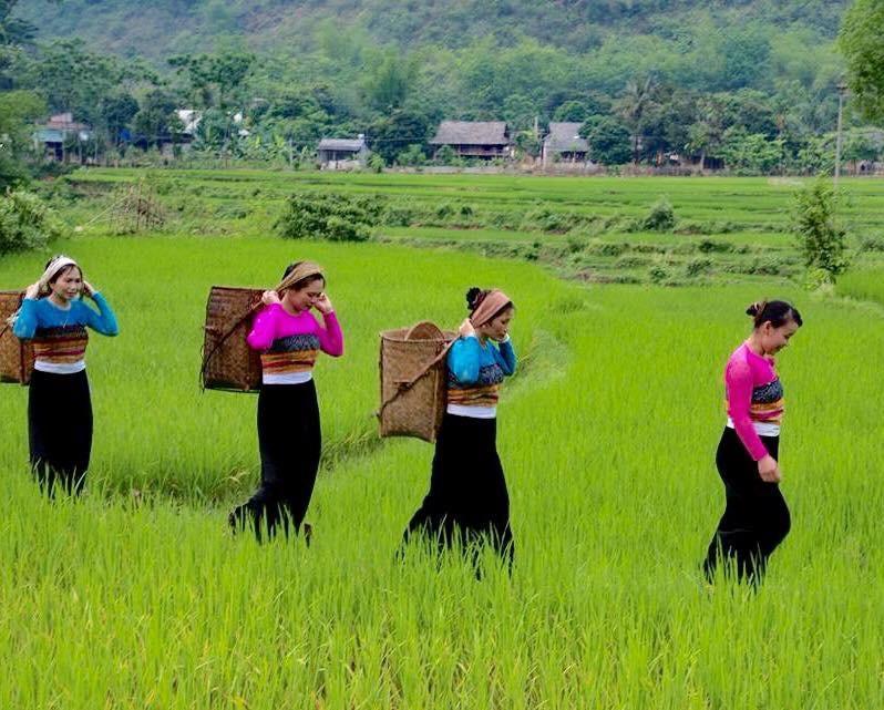 Lu'S Homestay 枚州县 外观 照片